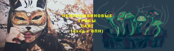 прущие крисы Новодвинск