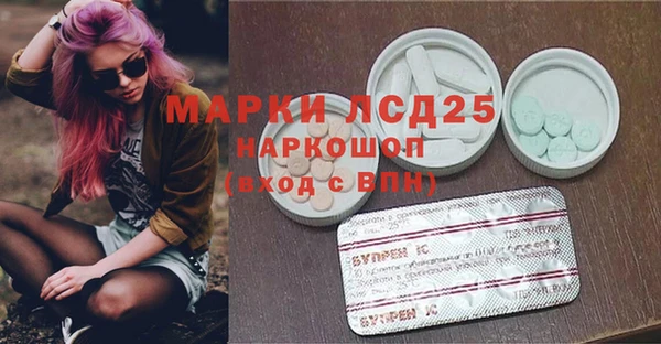 шишки Новокубанск