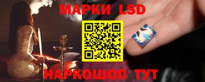 крисы Камышлов
