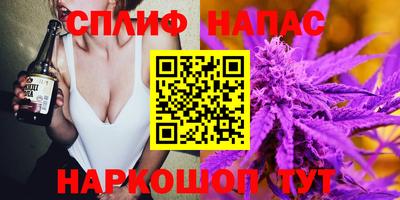 крисы Камышлов