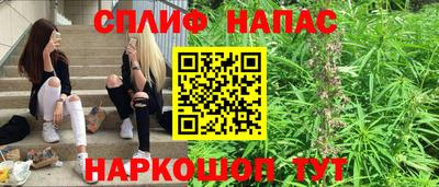 ешки Будённовск