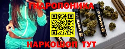 шишки Бузулук