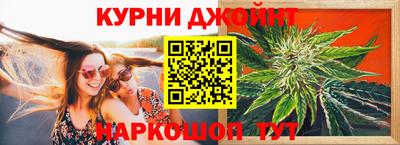 крисы Камышлов