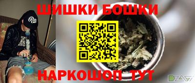 крисы Камышлов