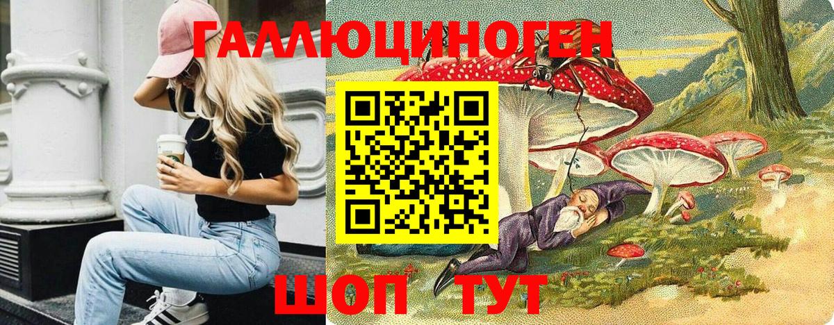 Галлюциногенные грибы Psilocybe Таганрог